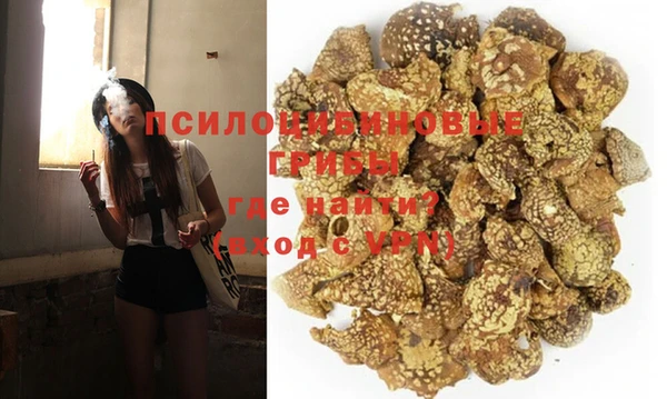 прущие крисы Арсеньев