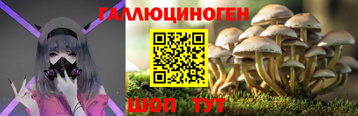 Галлюциногенные грибы мухоморы  Вход с VPN  цена наркотик  Дюртюли  Псилоцибиновые грибы Cubensis 